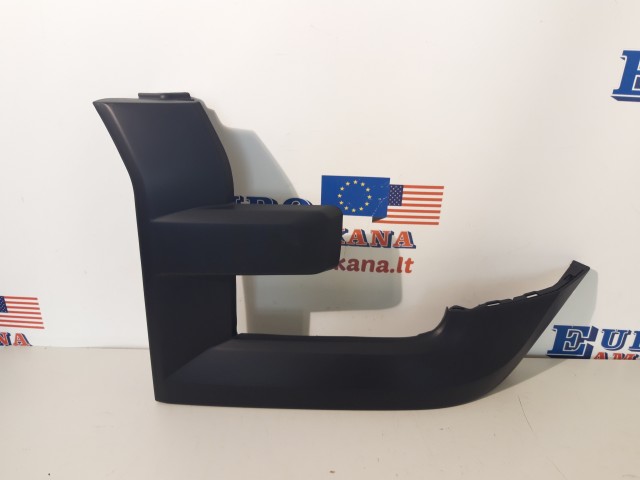Trim Molding (left)